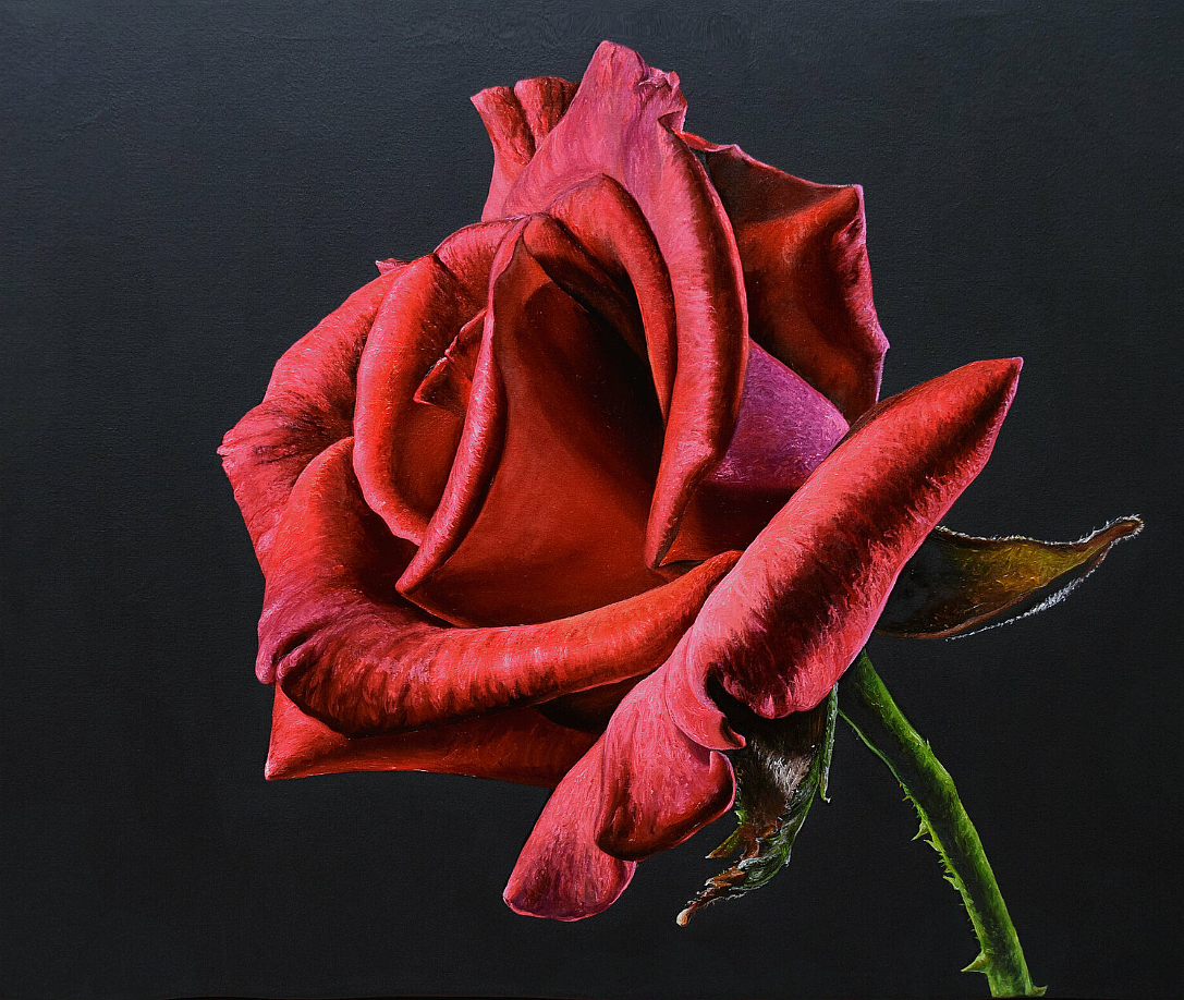 Red Rose