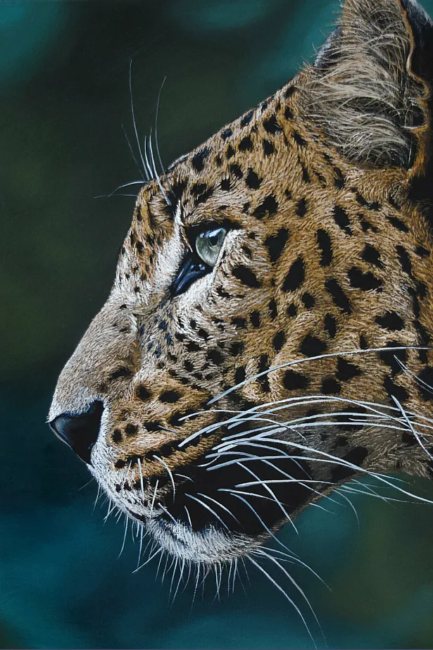 Imagen de Leopardo de Elena Adele Dmitrenko