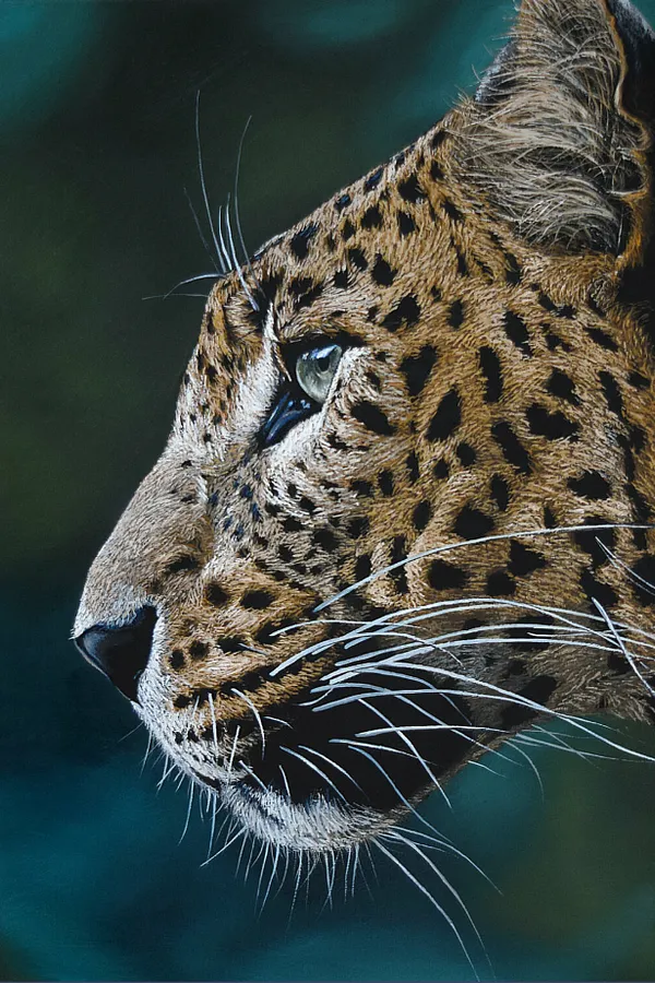 Image of Leopard by Elena Adele Dmitrenko