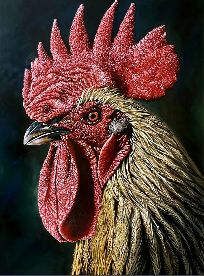 Rooster