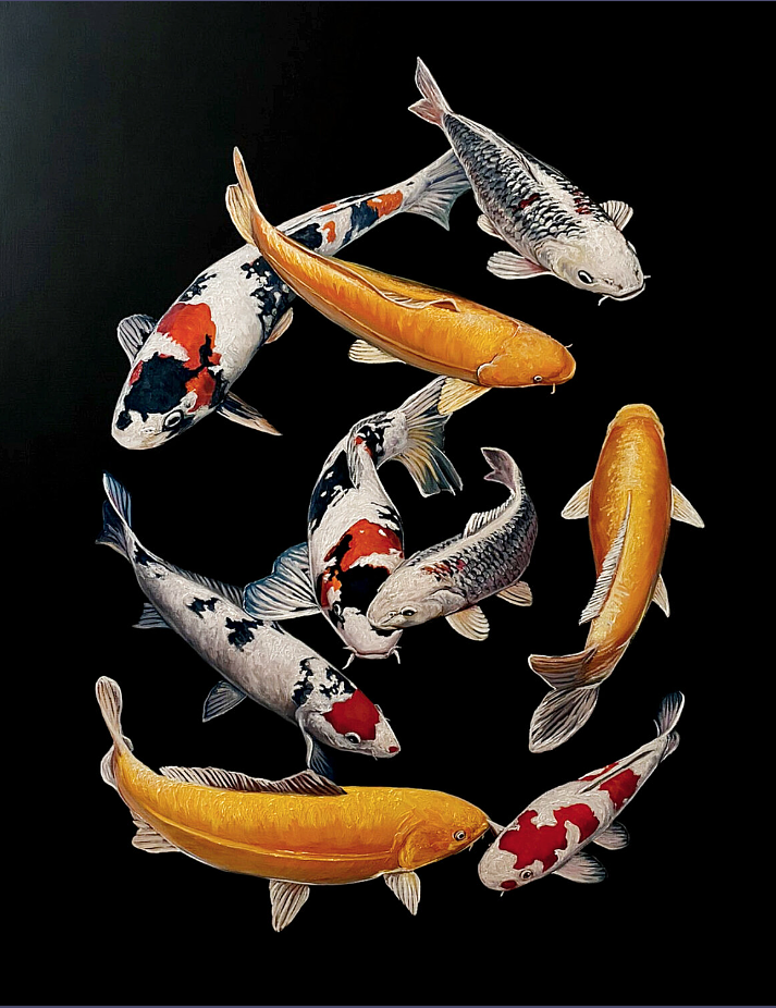 Koi Carps