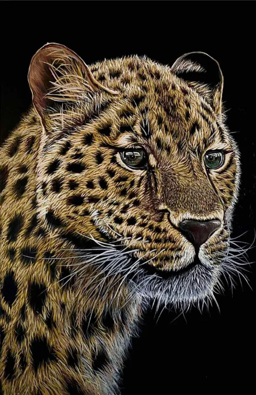 Imagen de Leopardo de Elena Adele Dmitrenko, parte de la serie Animales