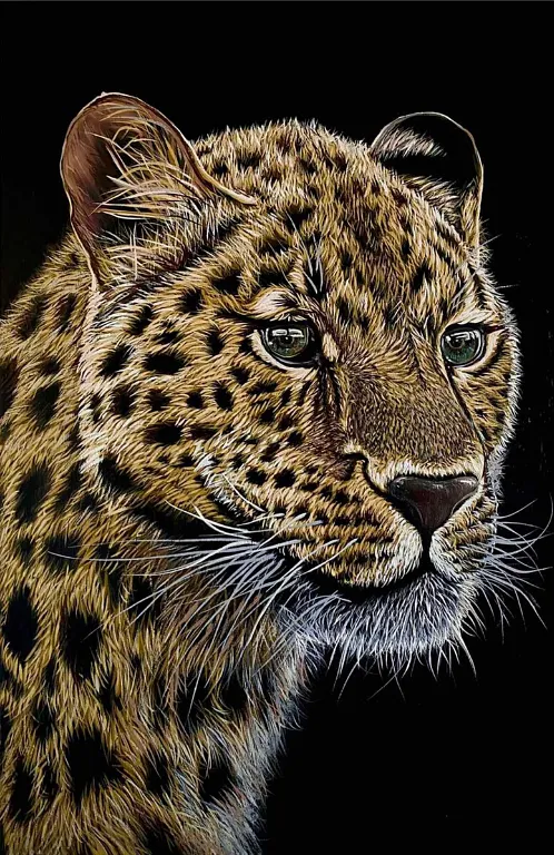 Imagen de Leopardo de Elena Adele Dmitrenko, parte de la serie Animales
