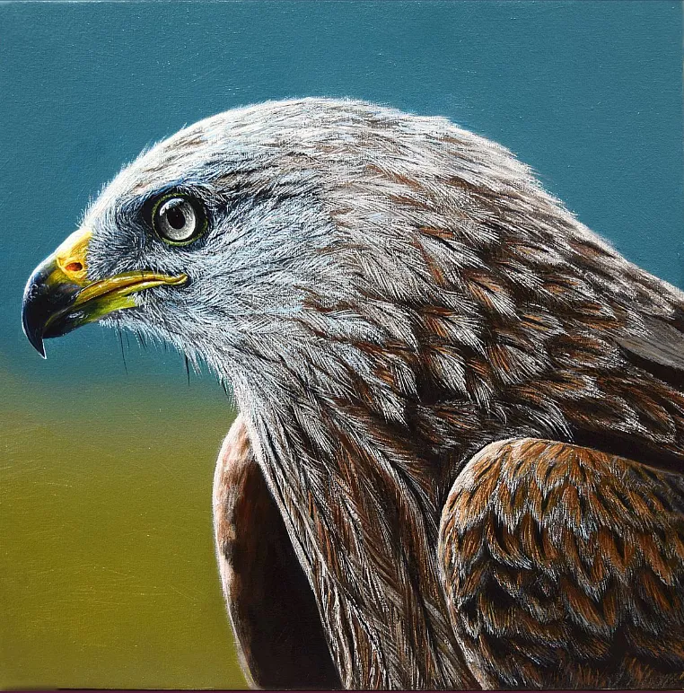 Image of Eagle by Elena Adele Dmitrenko, part of the Animals series