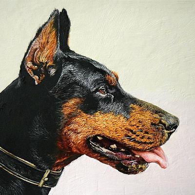 Doberman