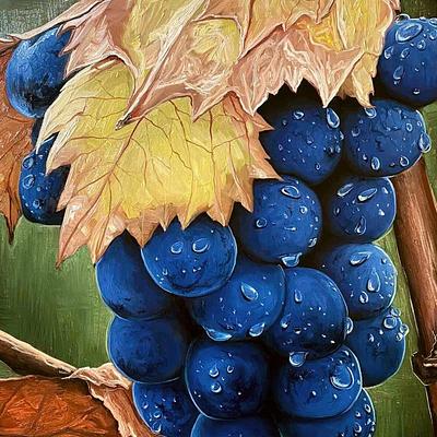 Grapes